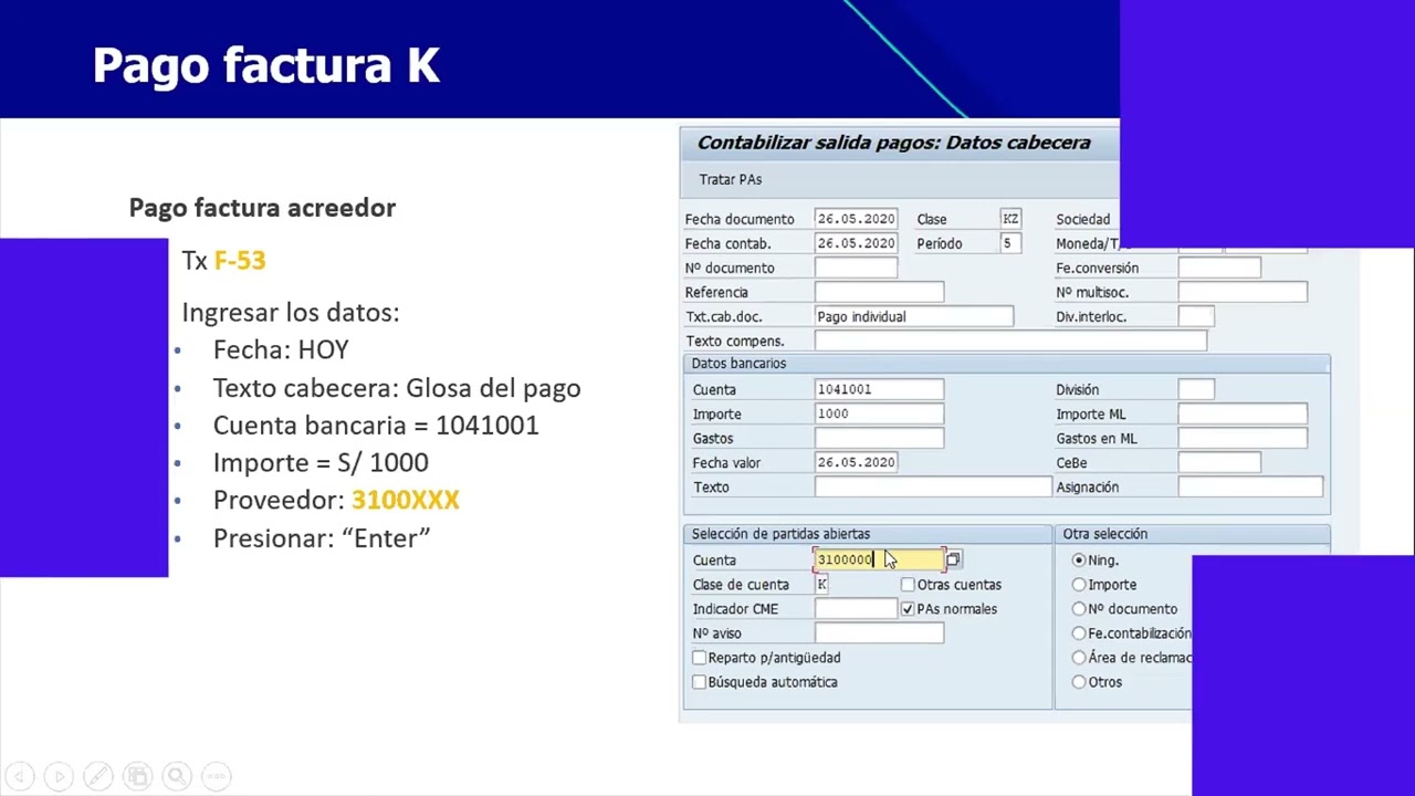 SAP FI Pago documentos proveedor F 53