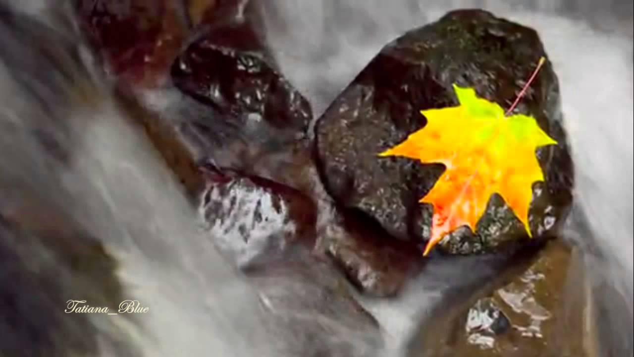 Yanni - For All Seasons