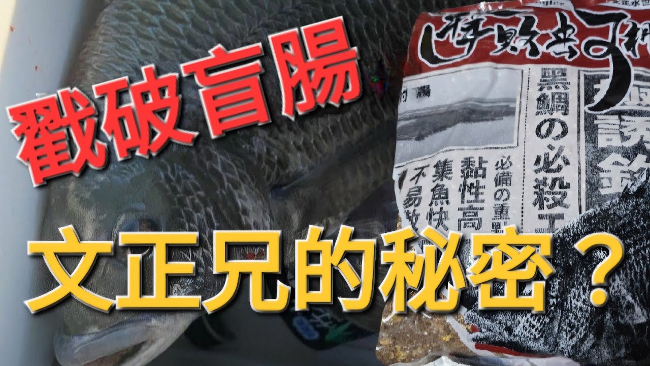 釣魚前需要事先準備的事情有哪些呢？  #文正水世界 #Jangleer #rj #擊敗砢棚