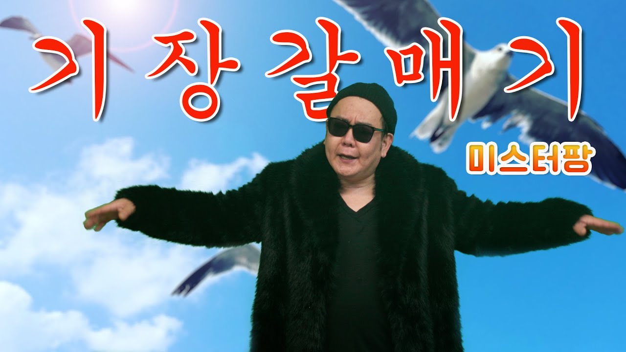 기장갈매기 - 미스터팡