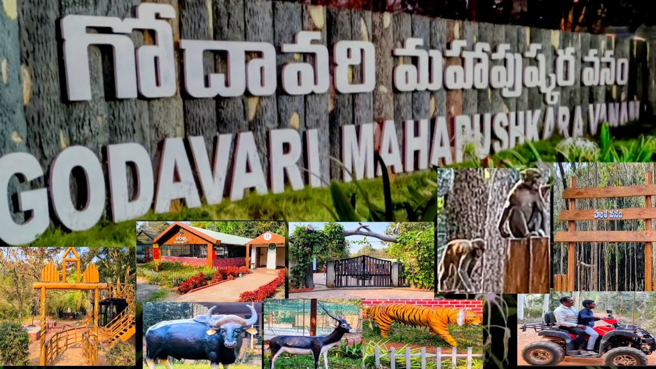 గోదావరి మహాపుష్కర వనం మన రాజమండ్రి లో 🤩👌#godavari #mahapushkaravanam #rajahmundry #forest #nature 