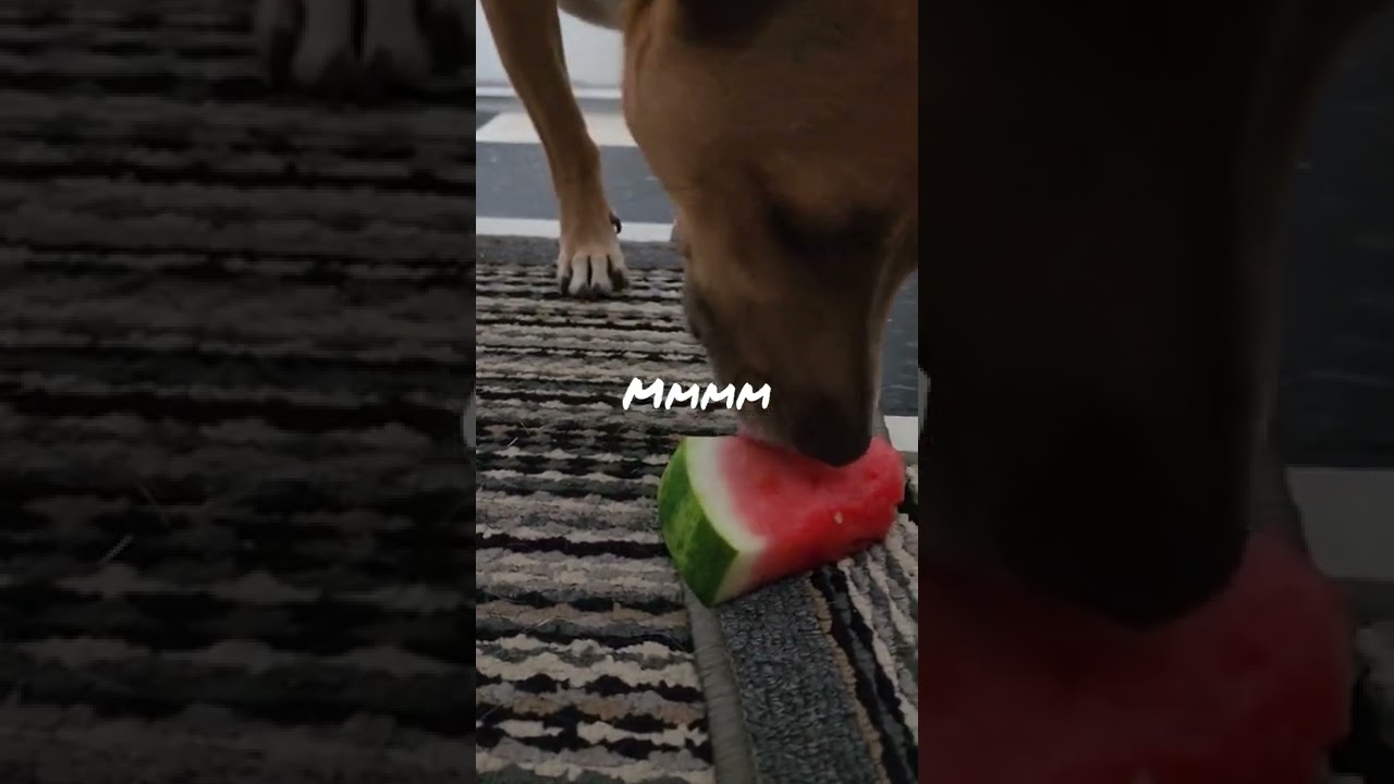 Da Heck? Where's da BEEF?