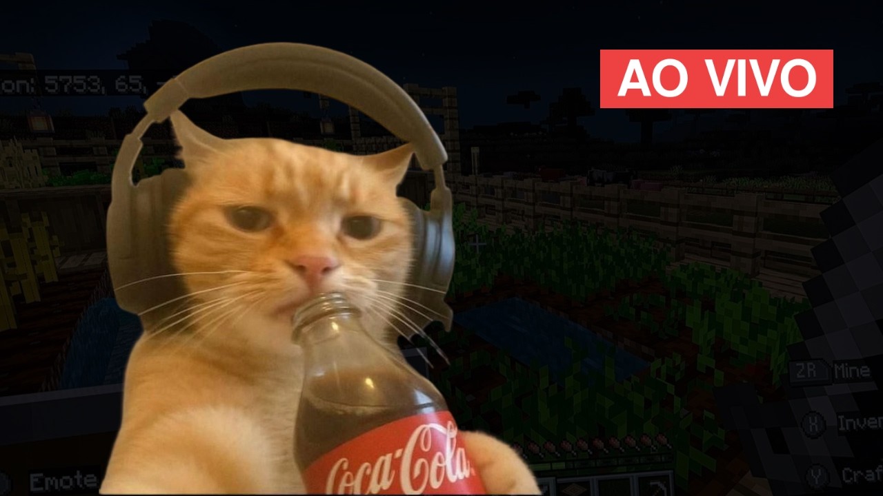 boa noitche