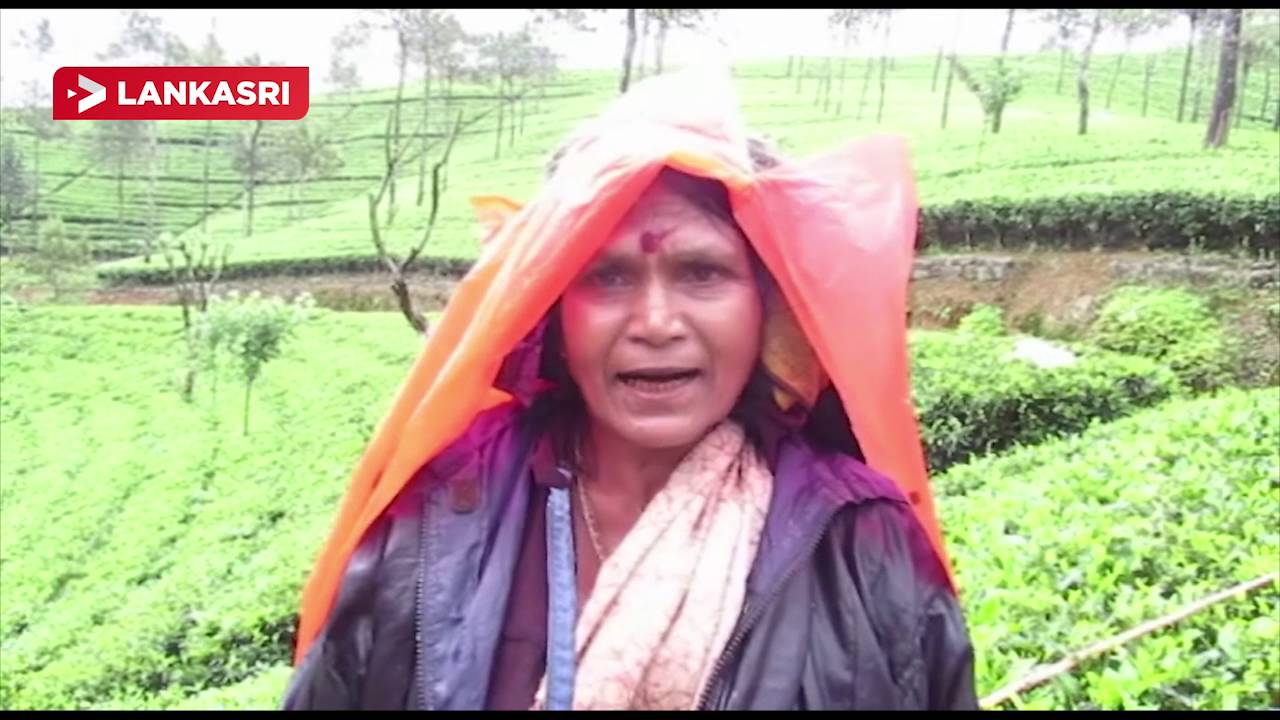 Struggle of Tea Plantation Workers in Upcountry Srilanka