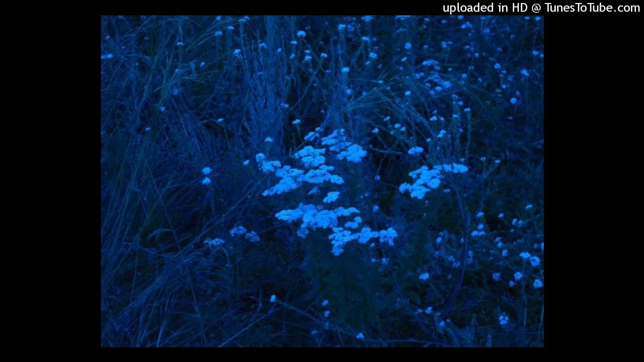 ambient ✱ маленький ярче ✱ fendiglock ✱ august type beat (@shlyager, @lean_pilotage- nvidea)