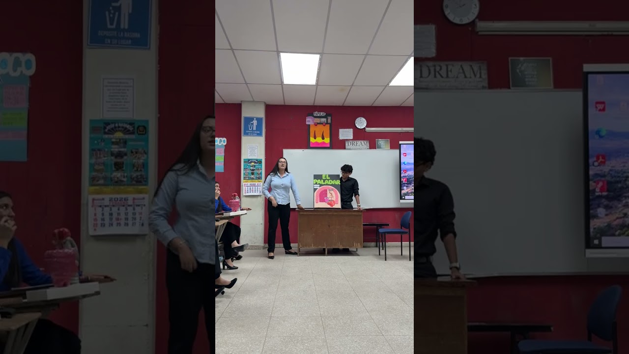 El paladar || Equipo 4_ SAD1