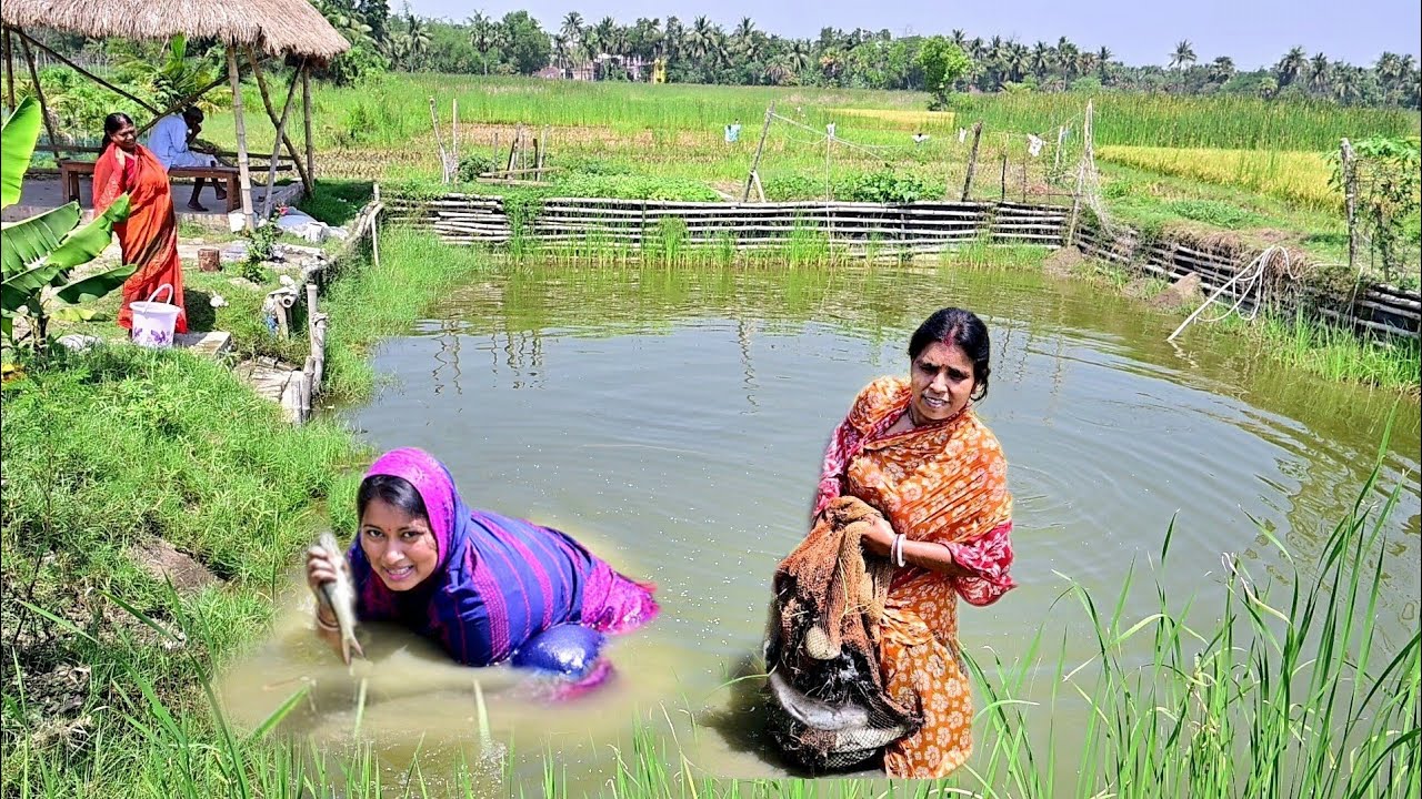 বাড়ির পুকুরে একগোলা জলে নেমে মাছ ধরলাম রুইমাছের ঝাল,ঝিঙেপোস্ত,মাছের টক রান্না করলাম||pond fishing