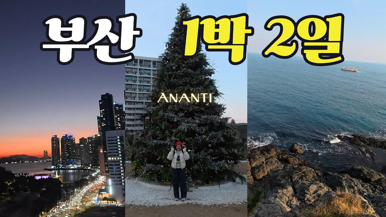 이거 안보면 손해! 실패없는 여행코스, 부산 토박이가 인정한 맛집까지!! 1박2일 부산여행