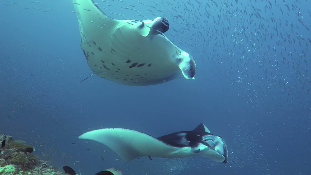 Dharavandhoo, Maldives - September 2021