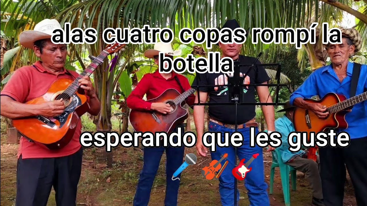 alas cuatro copas rompí la botella esperando que les guste 🎸 cover 🎻🎤