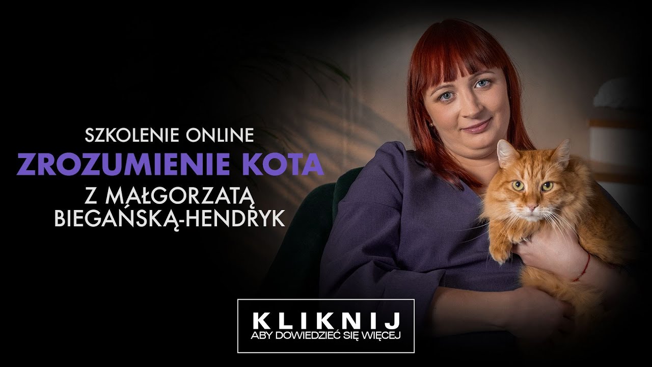 Jak ZROZUMIEĆ kota?