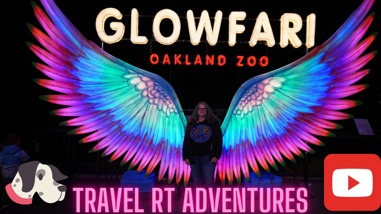 Glowfari at the Oakland Zoo!