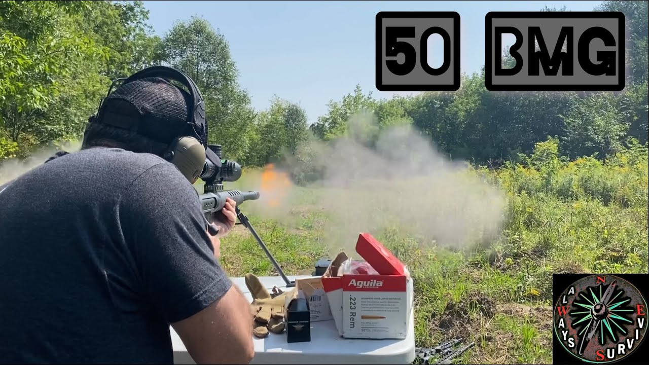 Serbu BFG-50 the 50 BMG vs Ar500 Steel