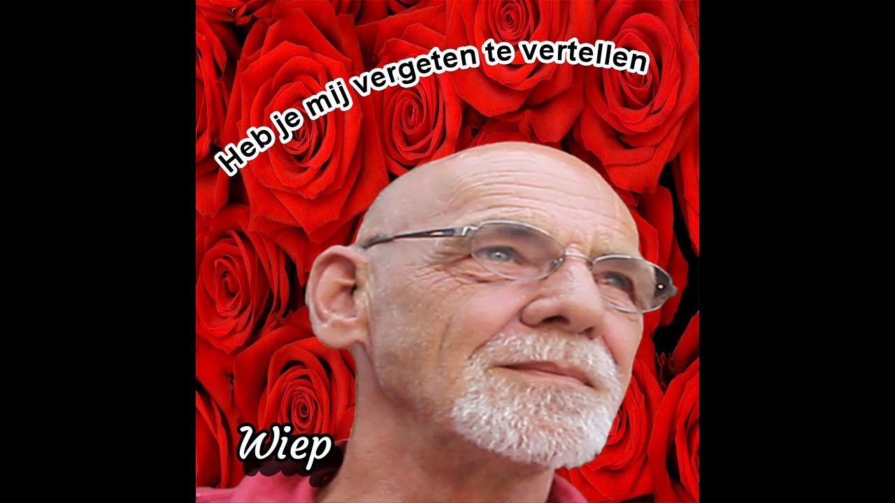 Heb je mij vergeten te vertellen - Wiep Veenstra