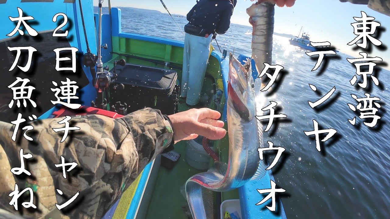 【釣り】東京湾テンヤタチウオ