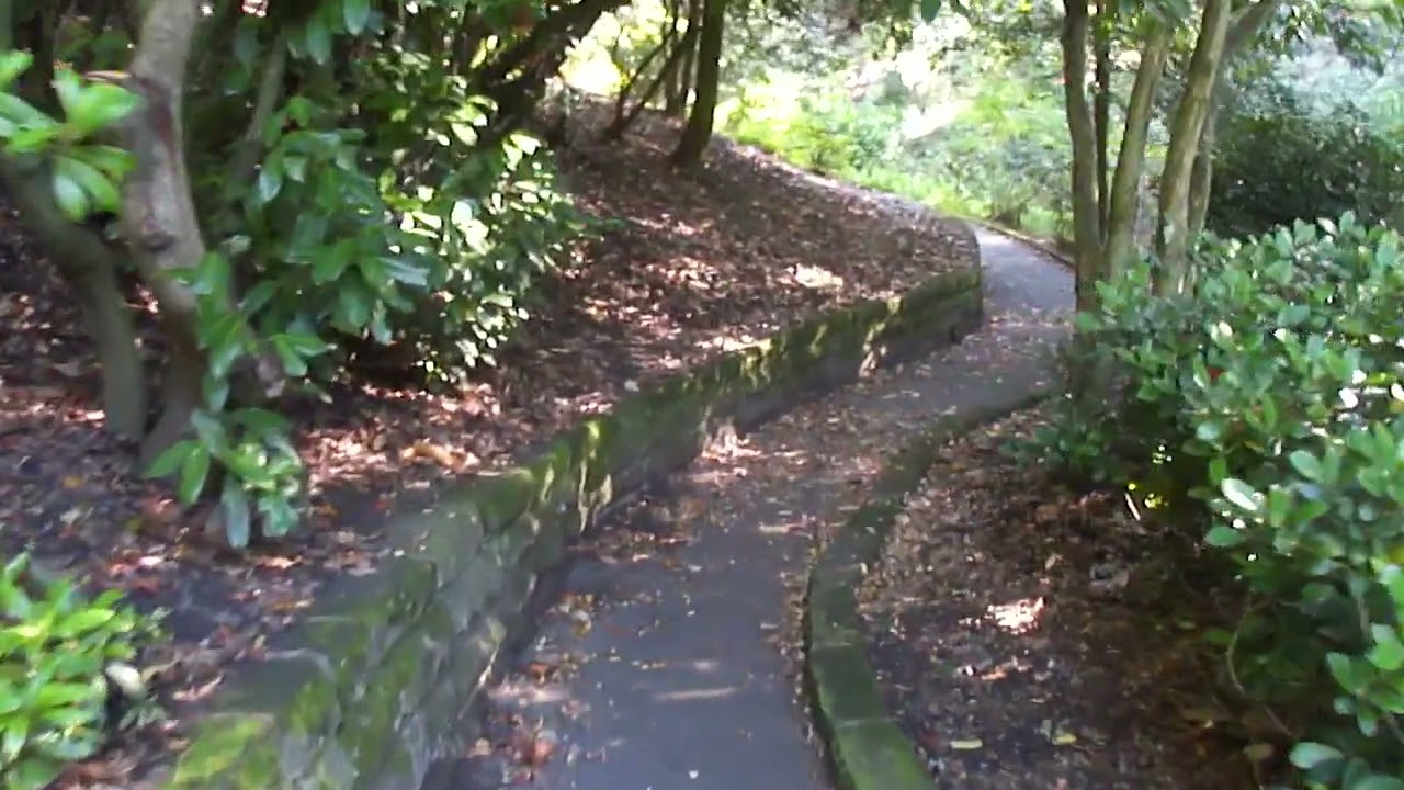 SALTWELL PARK GATESHEAD