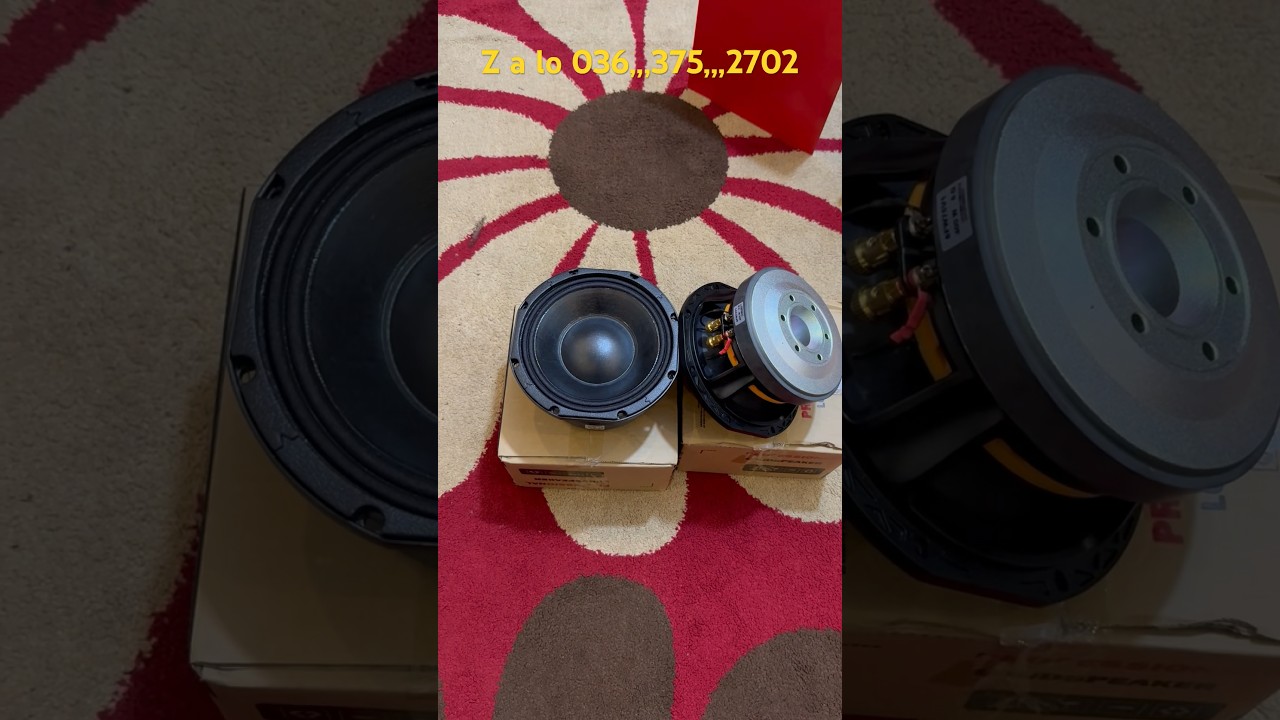 HOT, Siêu Phẩm Loa Bass 20 Hiwell Audio, Model : 8FW75V1, Từ Khủng 170 Coil 76 