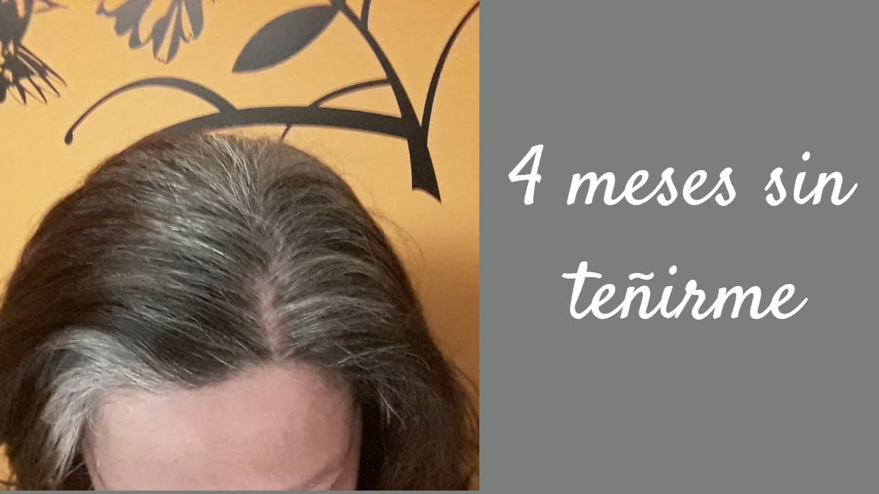 👩💇‍♀️ Mi transición a las canas 😎 4º mes👍⏳👍