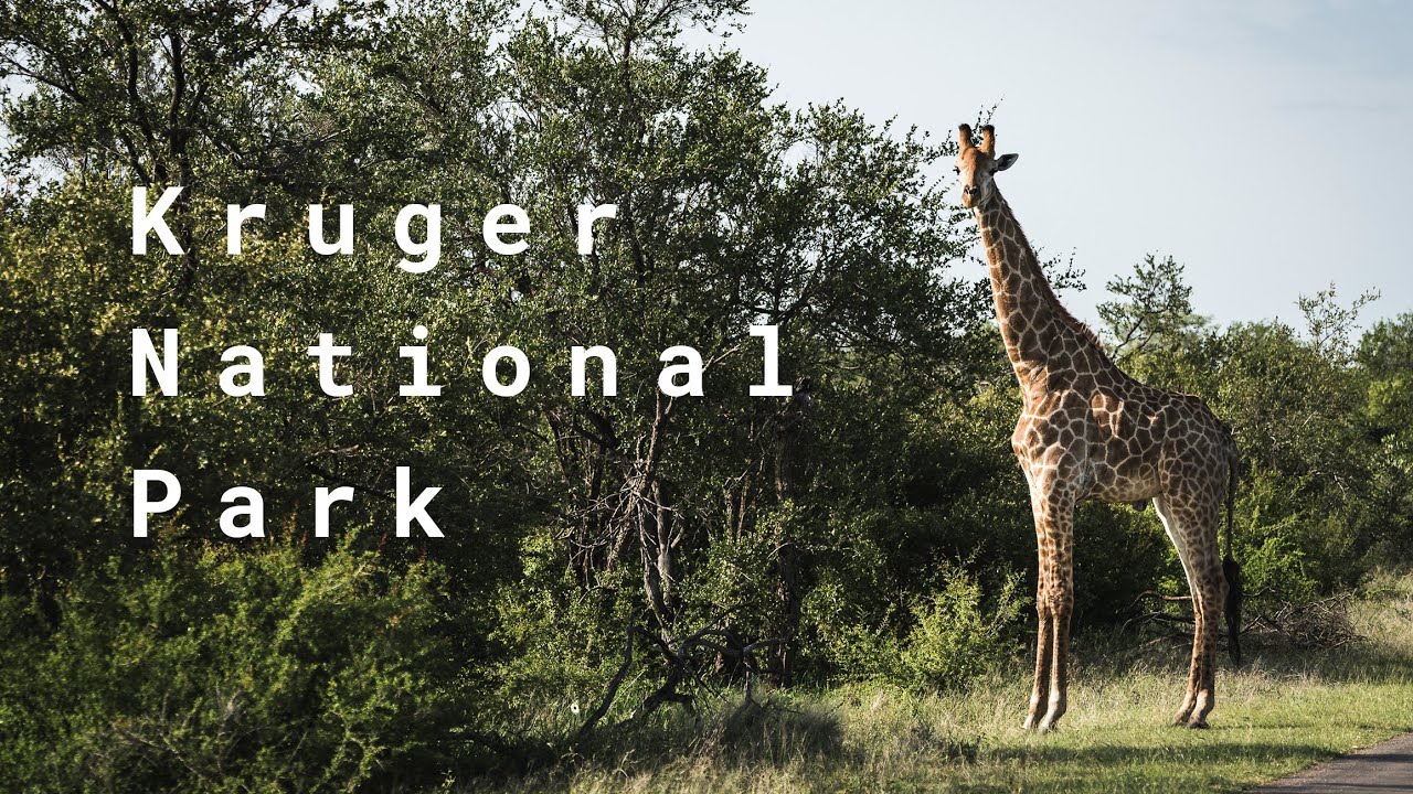 South Africa. Part 1. Self driving in Kruger National Park