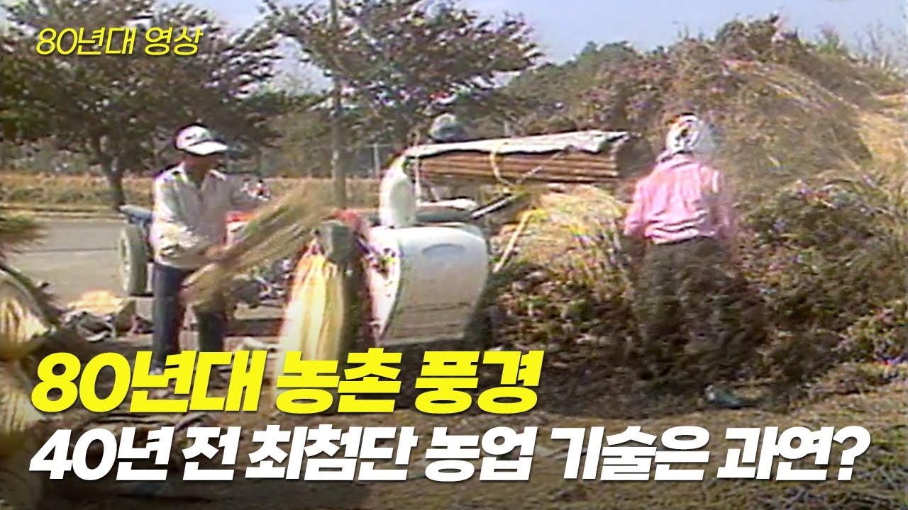 아버님 댁에 자동 탈곡기 한대 놔드려야겠어요...! 80년대 농촌 영상 | 옛날티브이 고전영상 옛날영상