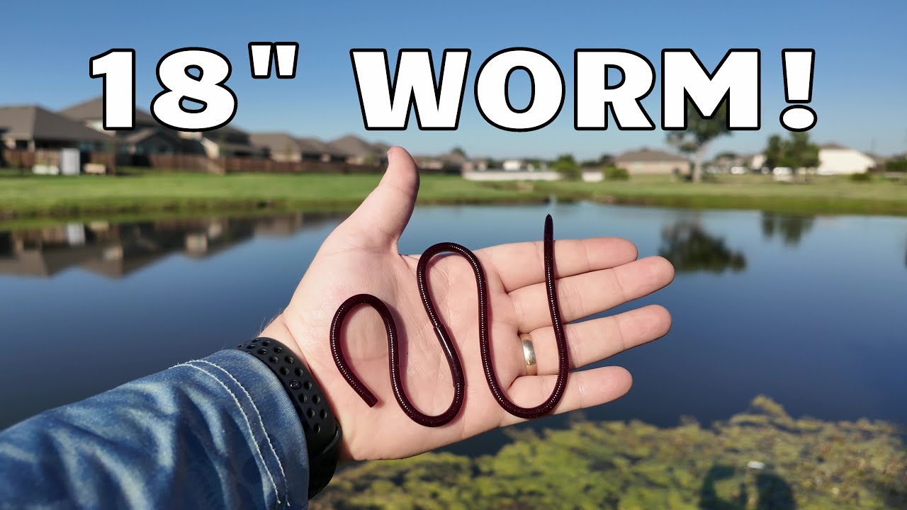 Fishing with the Geecrack G-Crazy | Review & First impressions (Texas Bass Fishing)