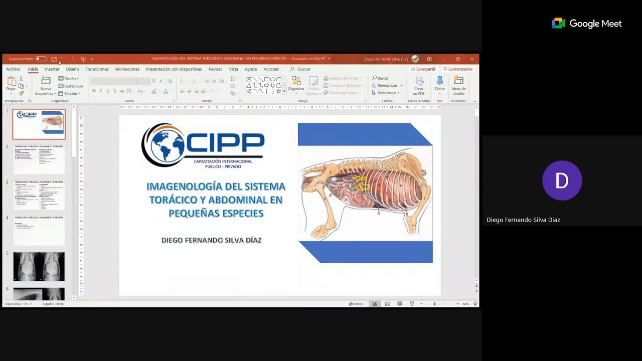 CURSO MODULAR: IMAGENOLOGÍA DEL SISTEMA TORÁCICO Y ABDOMINAL EN PEQUEÑAS ESPECIES*
