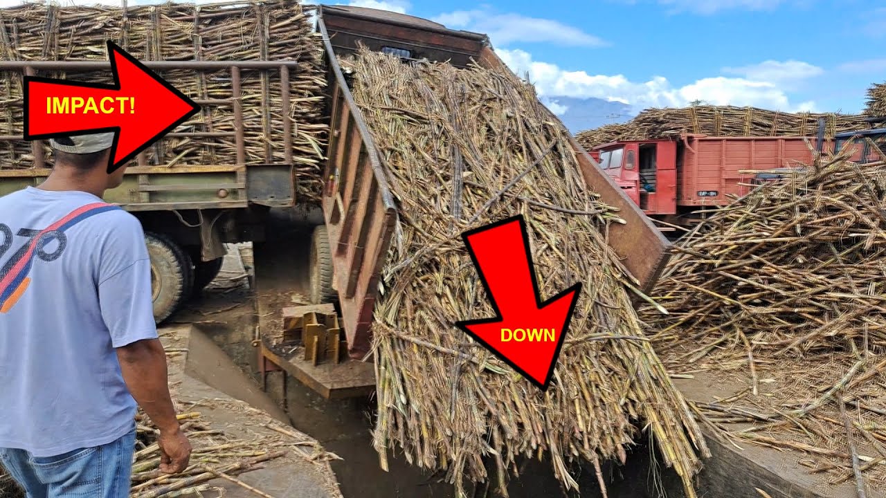 The truck ramming other truck - Pensumil Sugar Cane