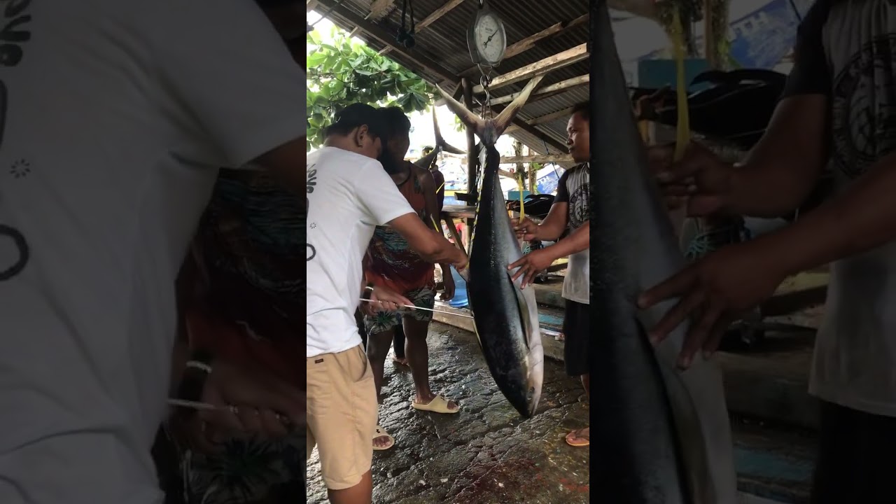 For export #tuna
