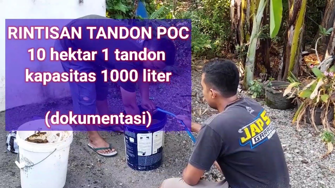 rintisan pembuatan tandon POC (pupuk organik cair) 1tandon kapasitas 1000liter per 10 hektar lahan