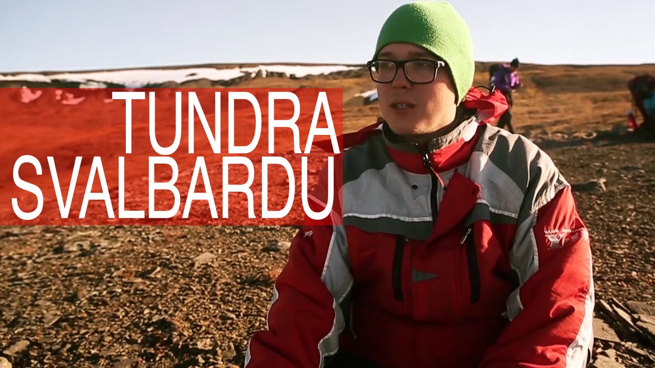 Niesamowita Tundra Svalbardu [SPITSBERGEN] [1/3]