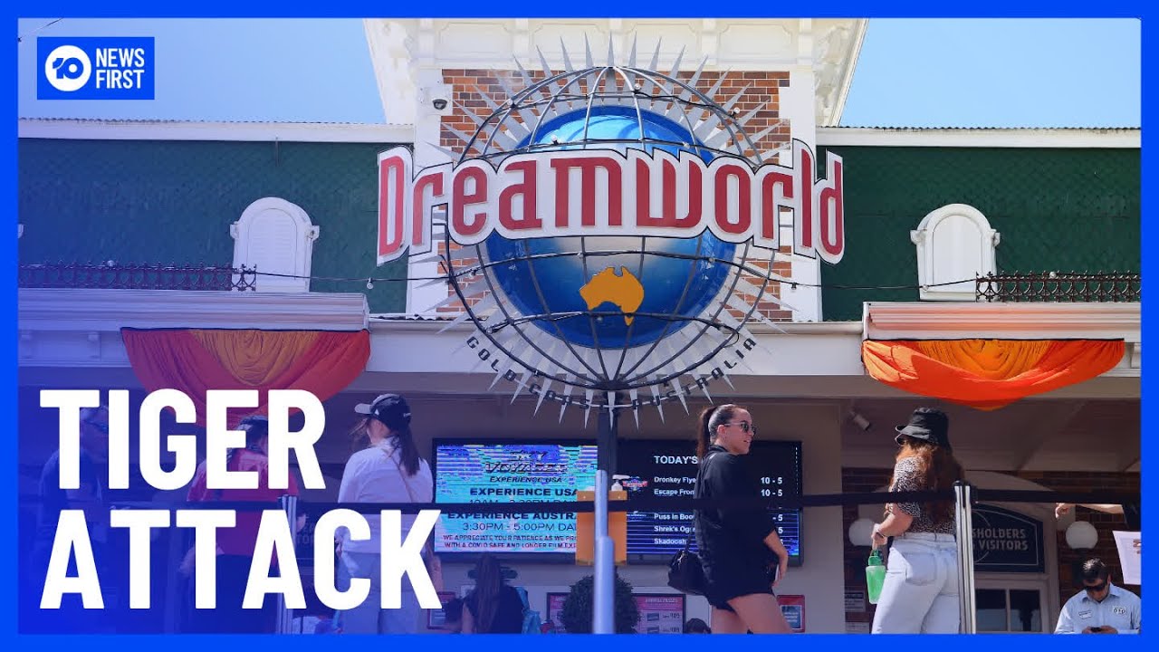 Woman Mauled By Tiger At Dreamworld | 10 News First