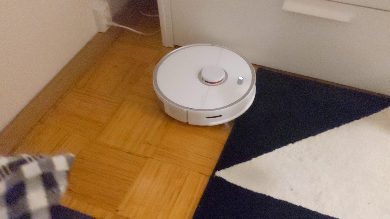Roborock S5 MAX vs IKEA carpet
