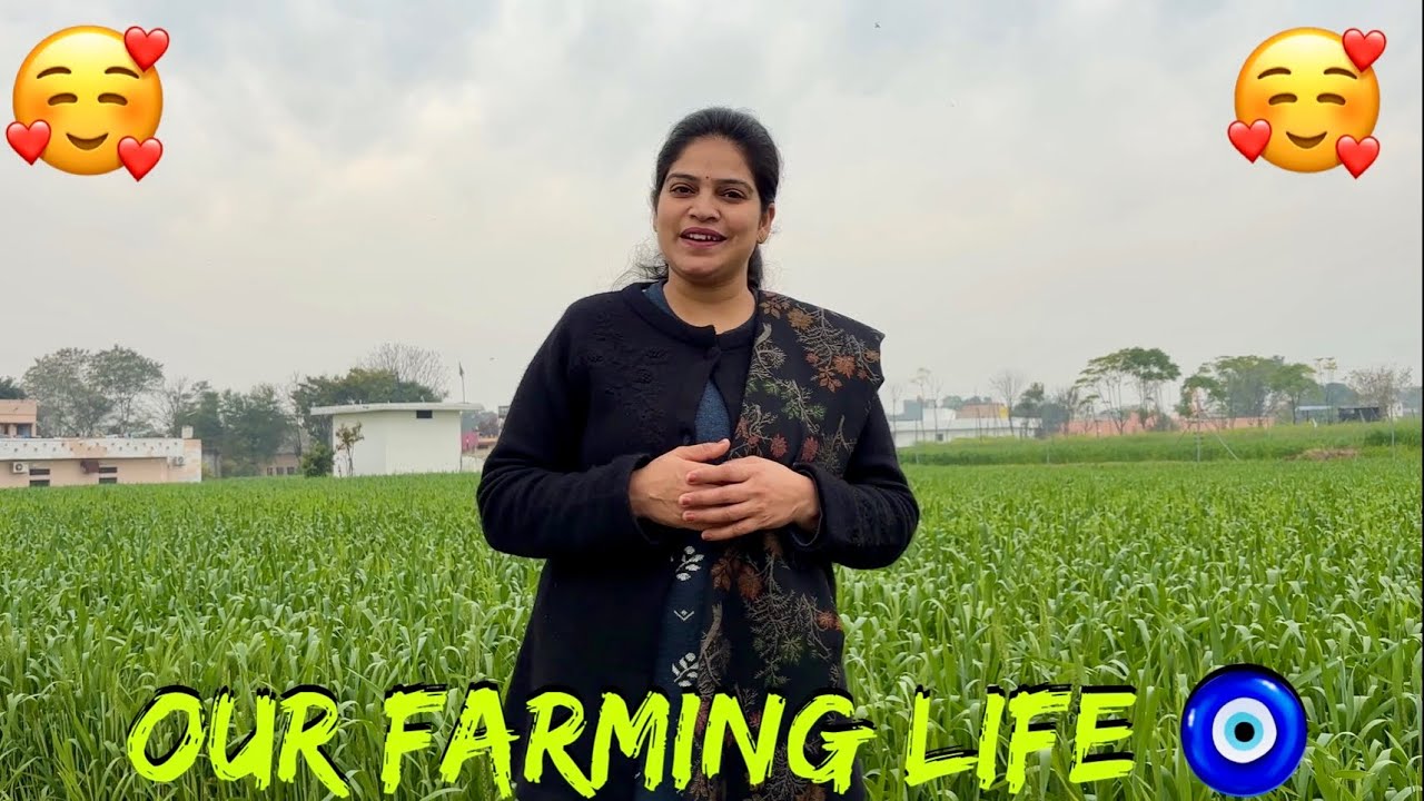 EK GOOD NEWS 🥰 OUR VILLAGE FARMING LIFE 🌾💚