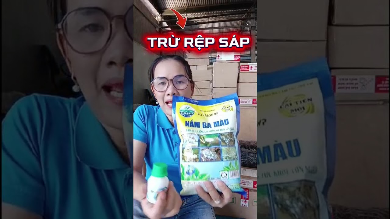 TRỊ RỆP S&Aacute;P TẬN GỐC &ndash; Bộ Đ&ocirc;i Nấm 3 M&agrave;u + Si&ecirc;u Loang Trải Diệt Rệp Nhanh, Kh&ocirc;ng N&oacute;ng Hoa Tr&aacute;i