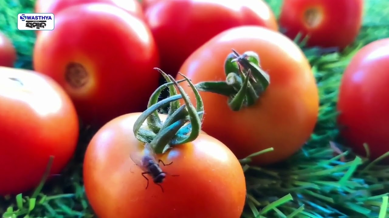 Do tomatoes really help preventing Cancer? | Swasthya Sambad
