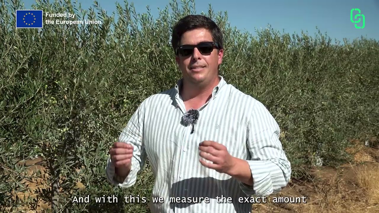 Olive groves with a future | 1st Campaign video #greenfarming #olivegrove #sustainableagriculture