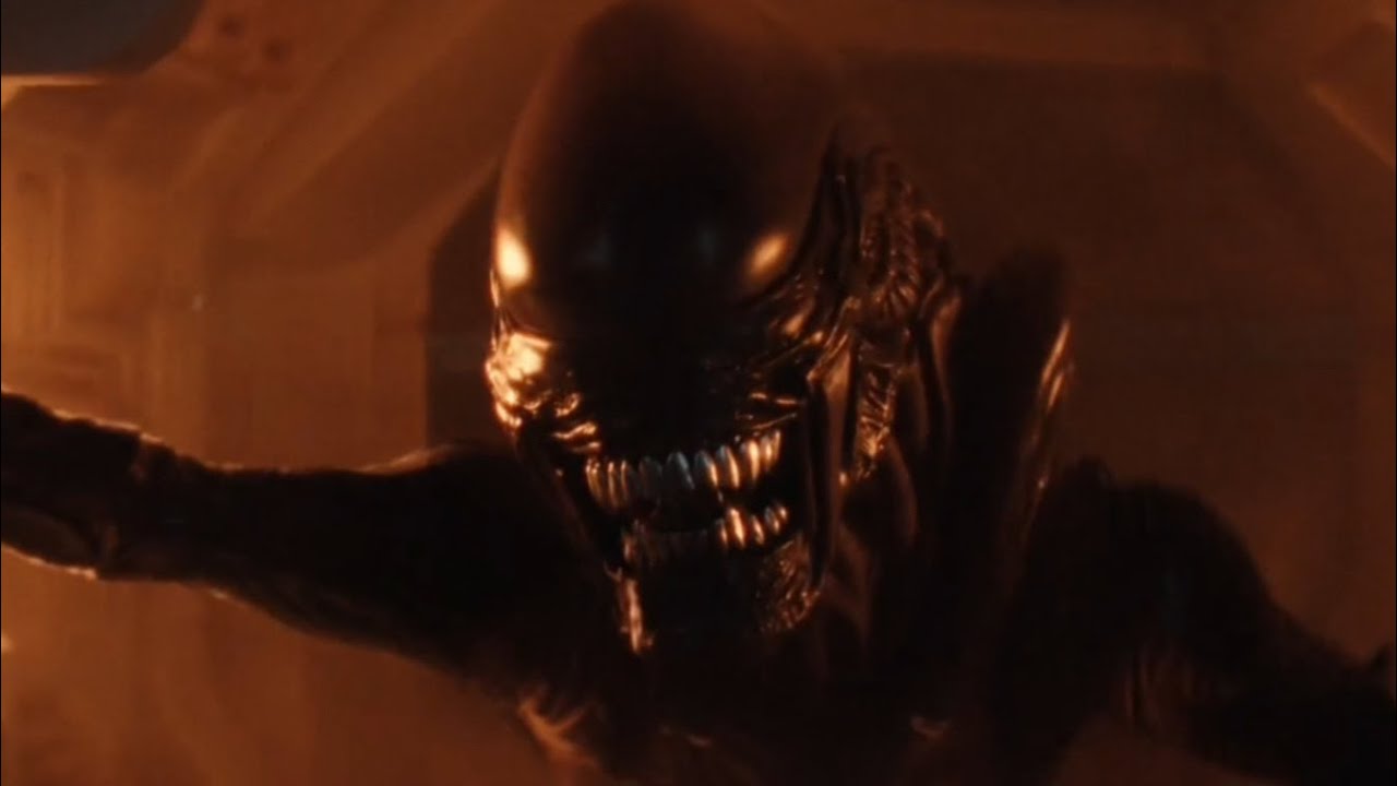 Alien earth: xenomorph chase scene