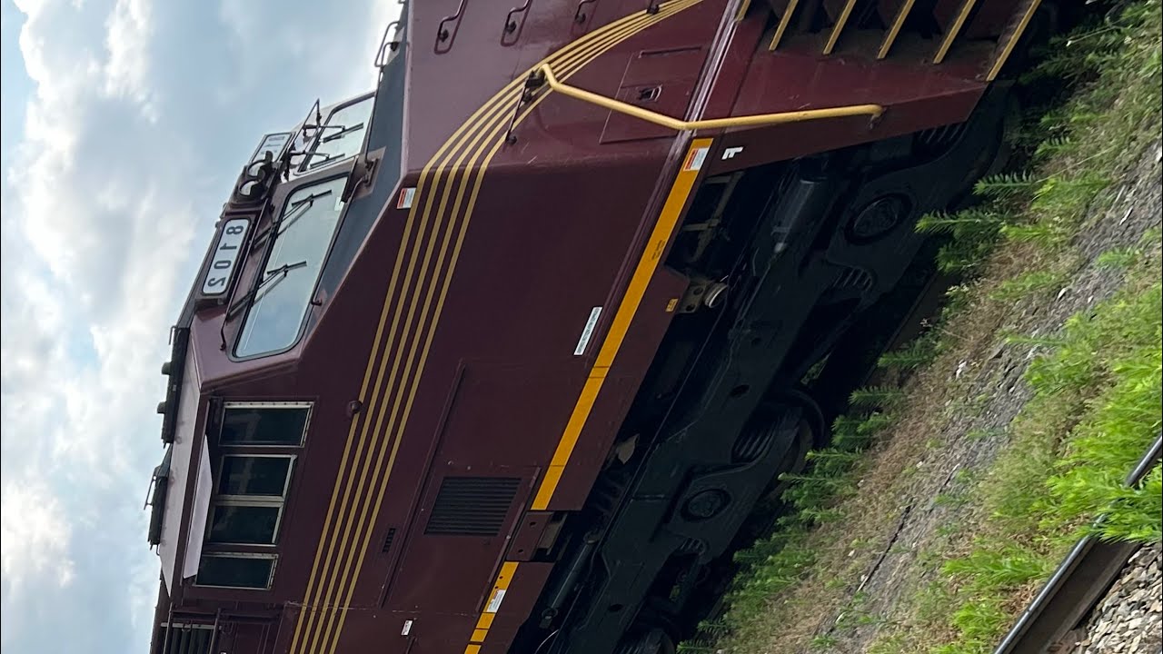 NS 8102