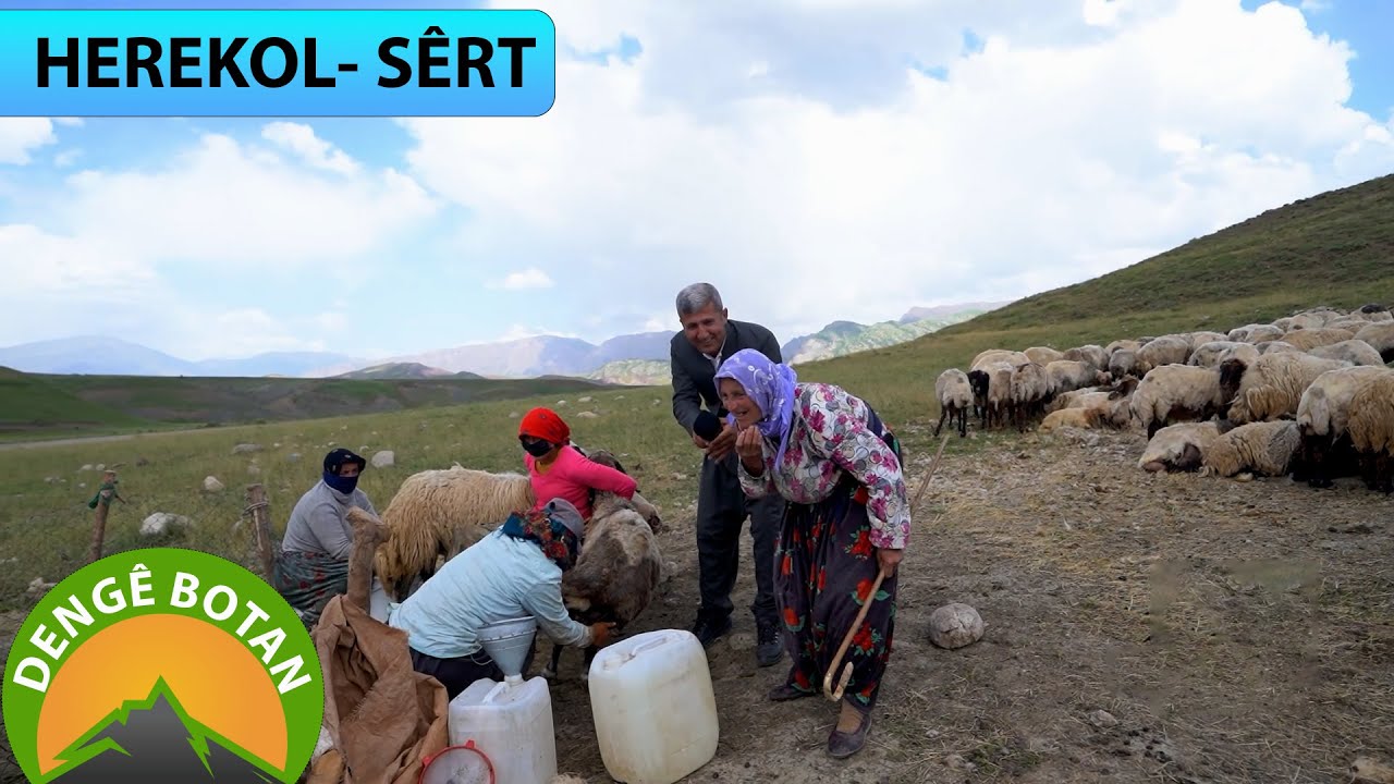 DENGÊ BOTAN - HEREKOL / SÊRT