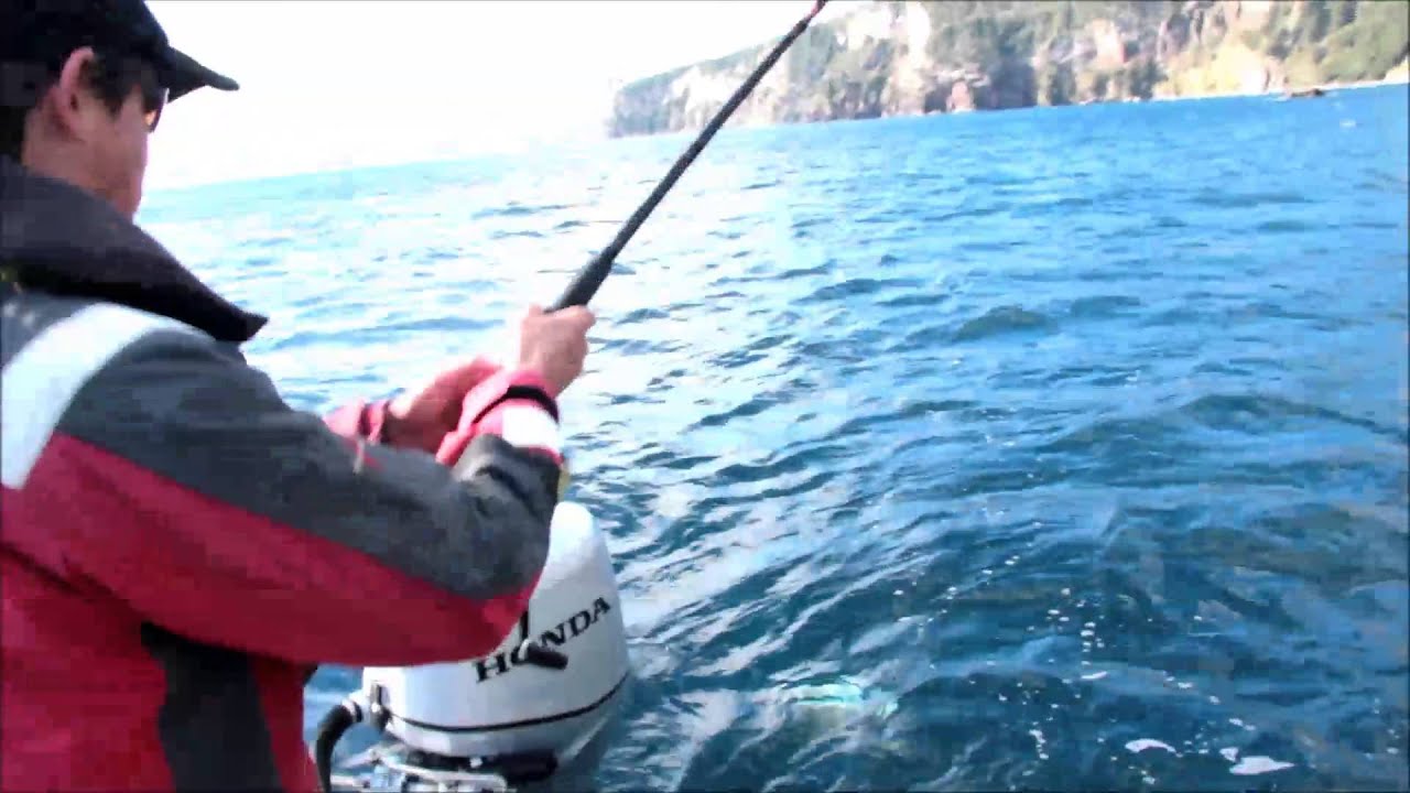 HUGE Autumn Snapper & Kingfish action at Little Barrier