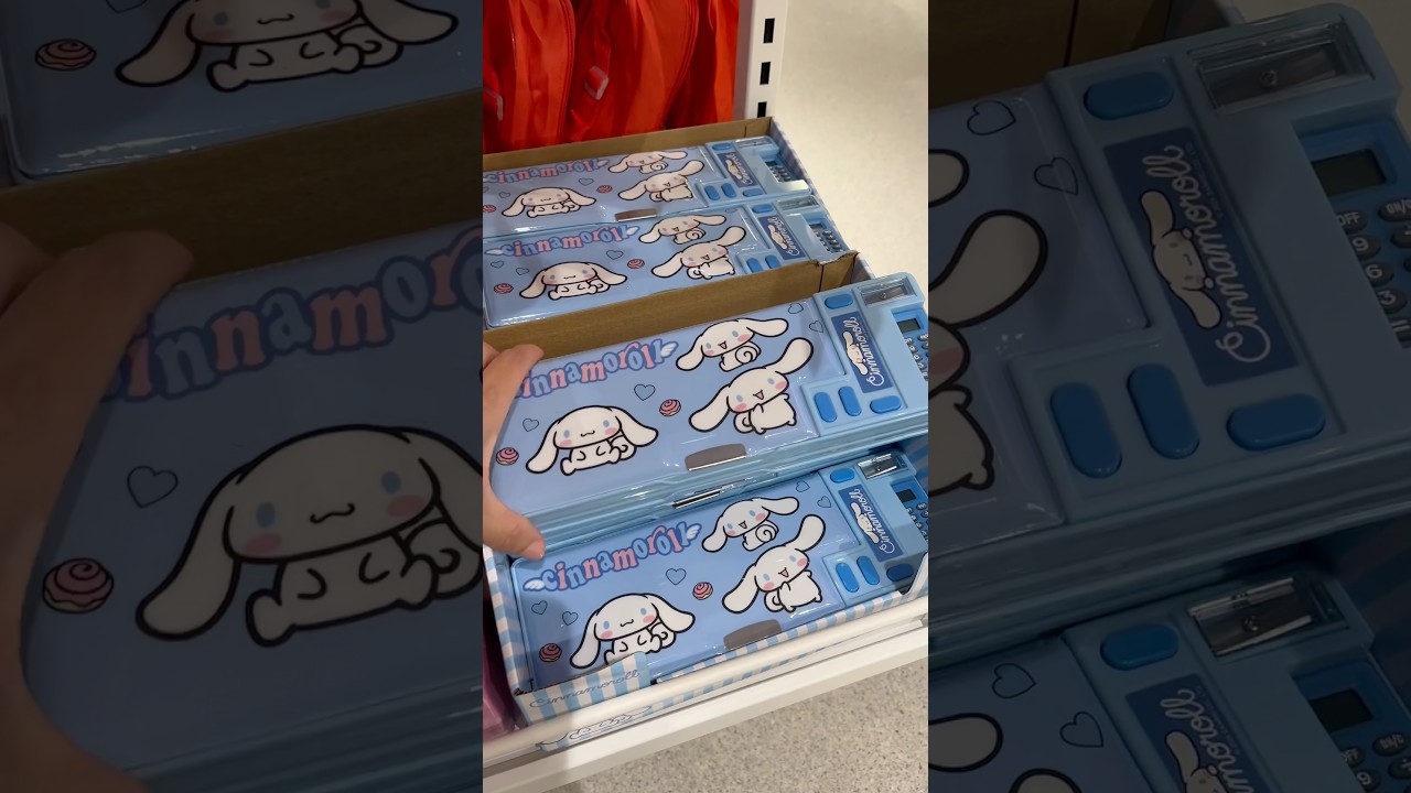 Cinnamoroll pencil case 