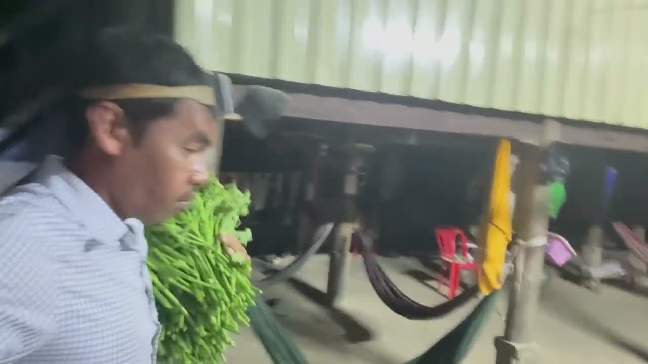I’m distributing our family’s homemade pickled mustard greens to our relatives
