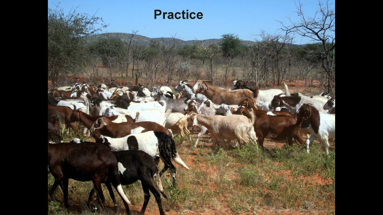 Animal Performance - Bio Calender - Ranching - Grazing and Farming