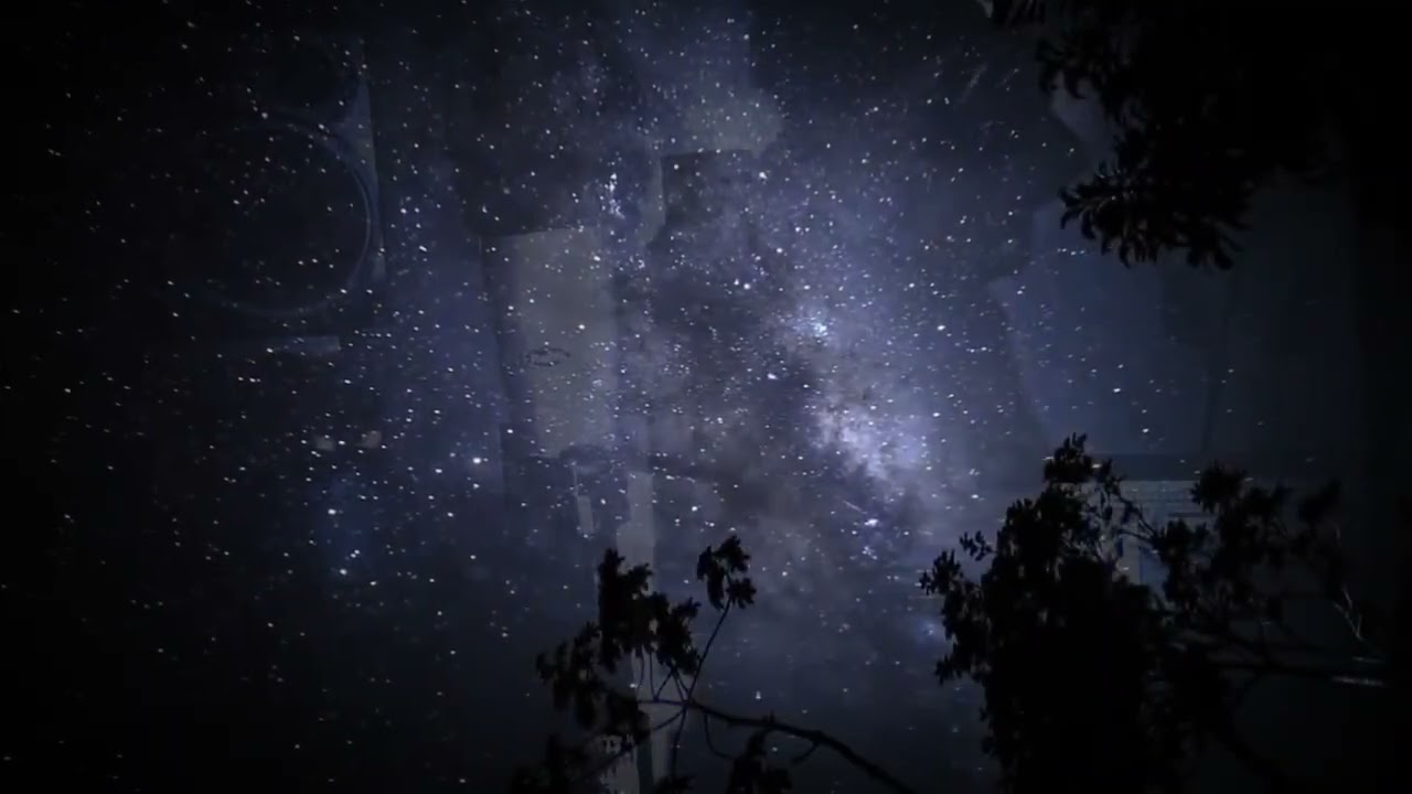 I don't give a fo - LYYAMM (visualizer)