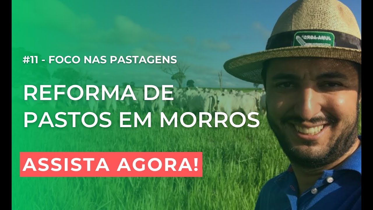 Reforma de pastos em morros | Foco nas Pastagens #11