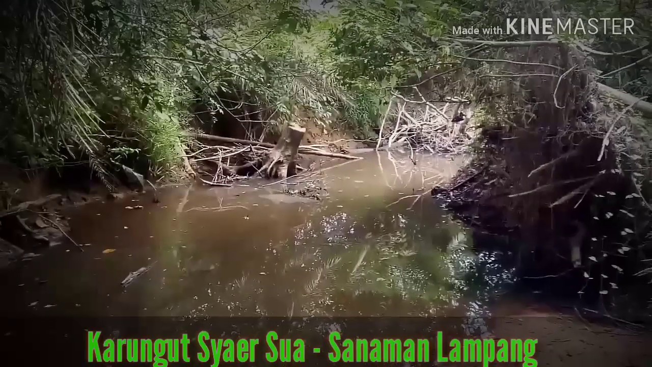 Karungut Kalteng - Sanaman Lampang