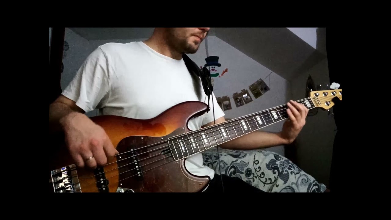 Ceca - Nije monotonija (Bass Cover)