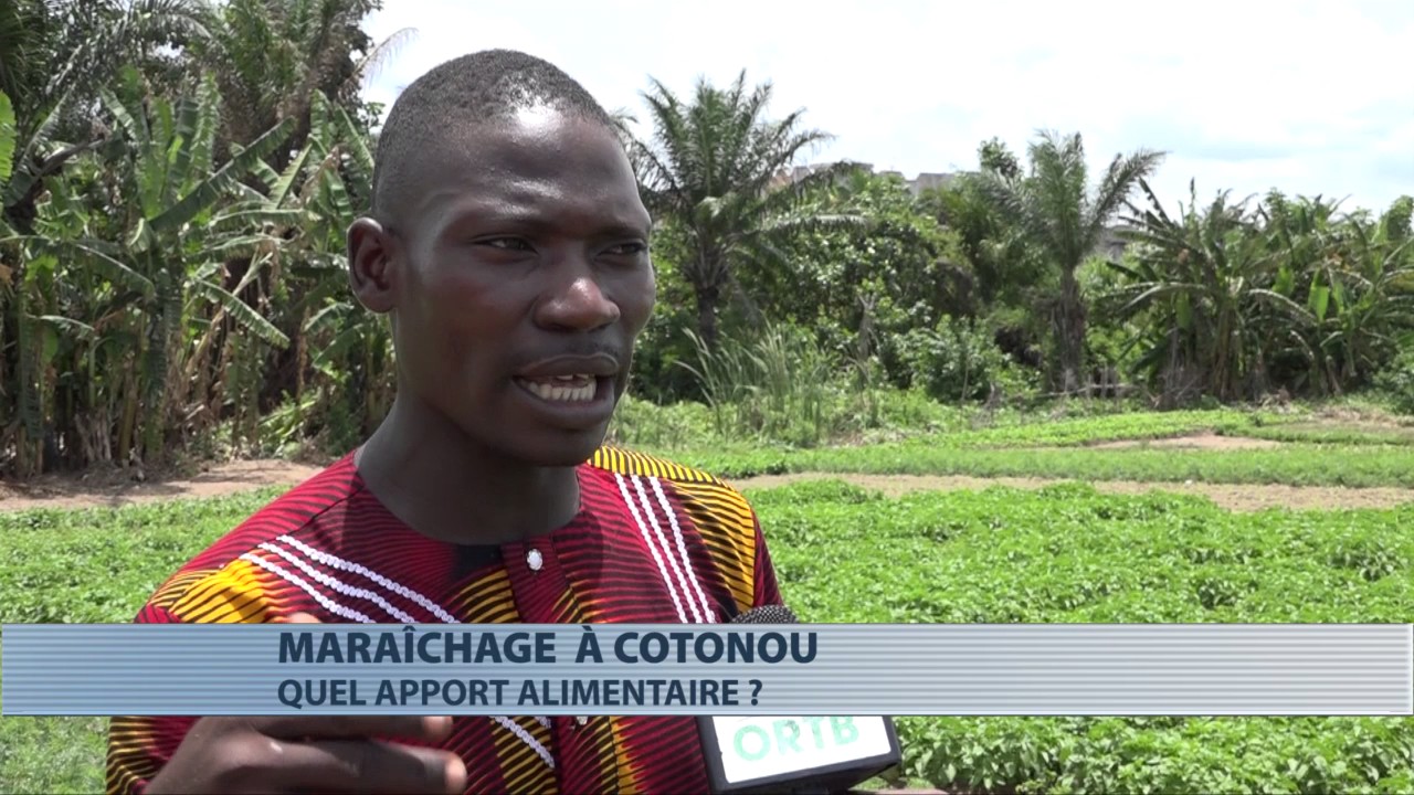 Maraîchage à  Cotonou : quel apport alimentaire ?
