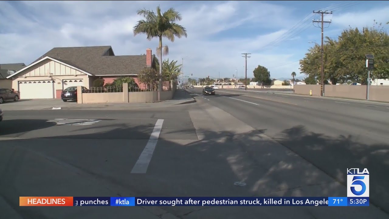 Elderly woman thwarts armed robbery attempt in Westminster