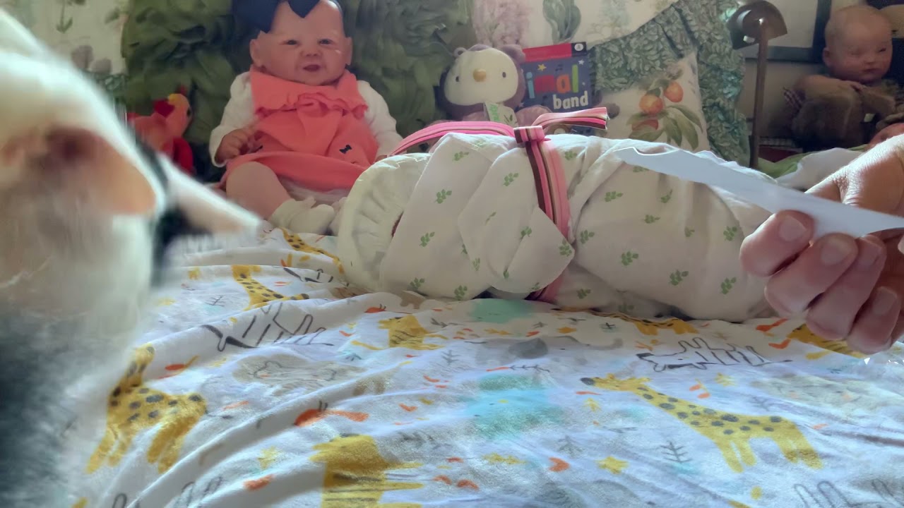 Happy little reborn | box opening ~ Sandy Faber